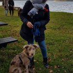 20-01-01 17-49-22 2538